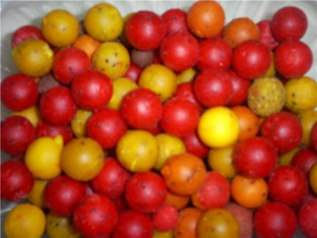 sa trecem la treaba - 527462893.jpg